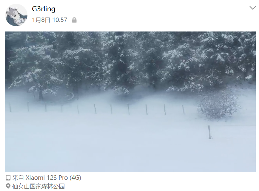 image-20251231000749062