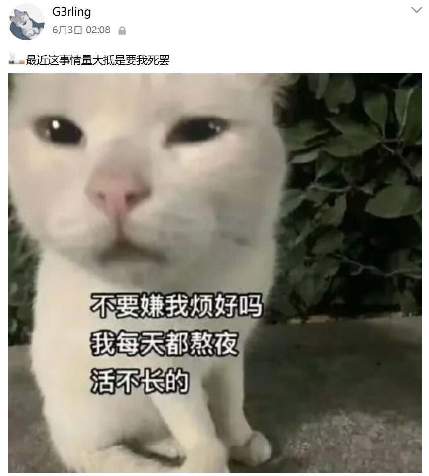 image-20251231002612244