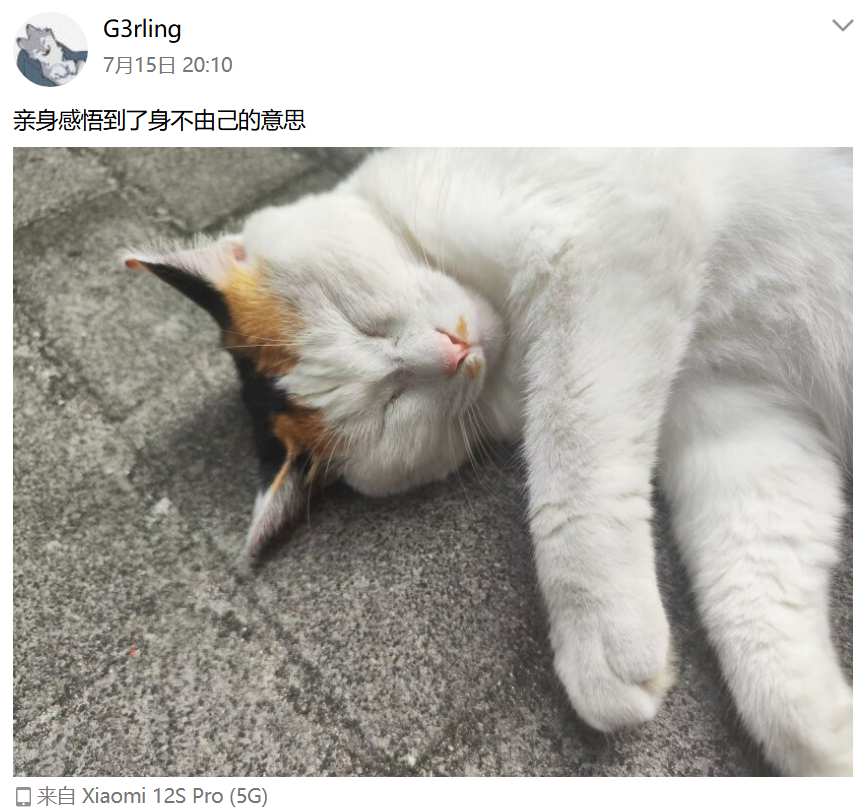 image-20251231003824900